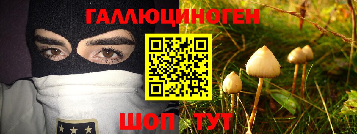 Вязники  Псилоцибиновые грибы Cubensis  Вход с VPN 